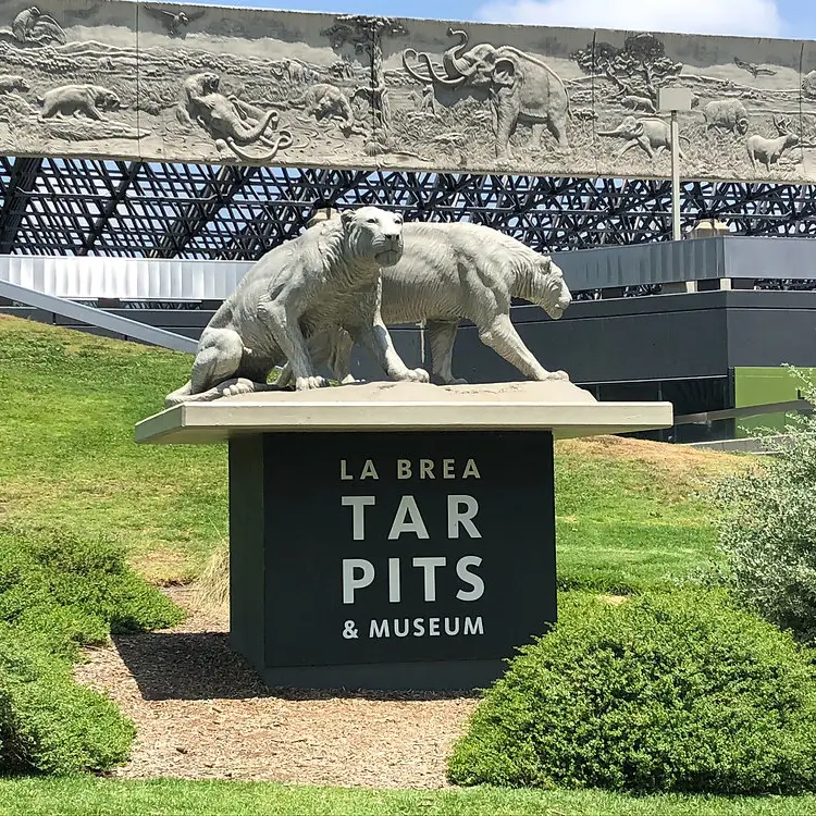 La Brea Tar Pits
