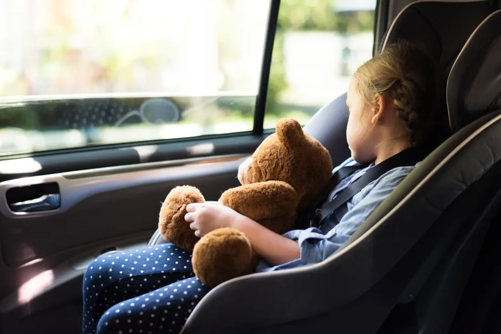 Child Seat - Free Booster Seat