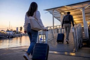 $99–$106 Round-Trip: Catalina Express Cost From Disneyland